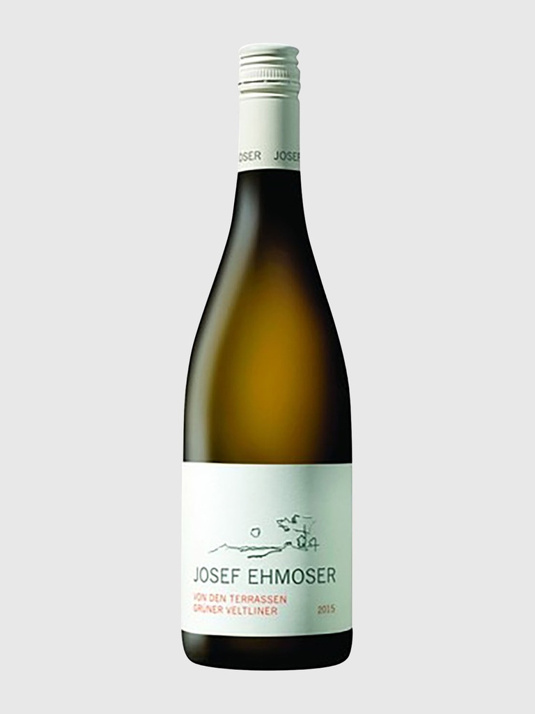 Grüner Veltliner von den Terrassen 2025 Bio