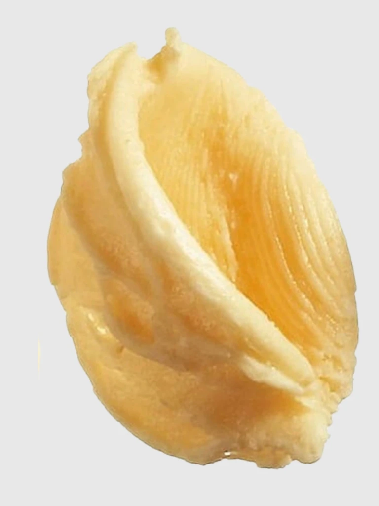 Orecchiette del Prete