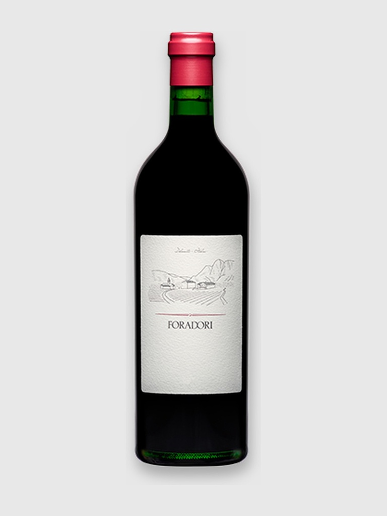 Teroldego 2023