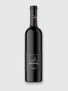Sauvignon Blanc Amphore 2024 Bio