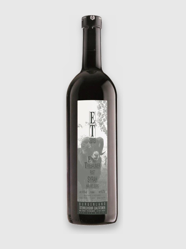 Syrah Hammelwerk 2022