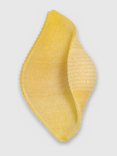 Conchiglioni