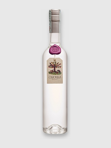 Grappa di Merlot 2011