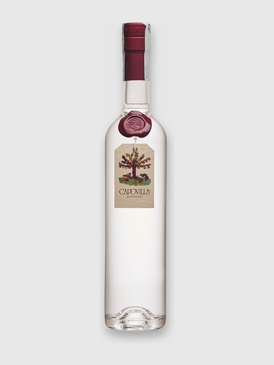 Grappa di Brunello 2015