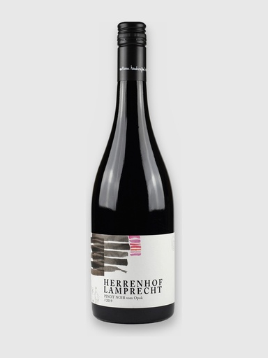 Pinot Noir vom Opok 2021