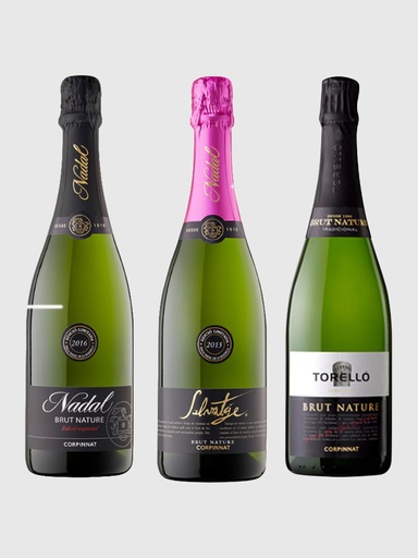 Revolution in Penedes