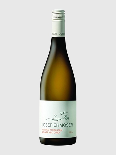 Grüner Veltliner von den Terrassen 2025 Bio