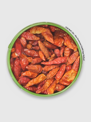 Chili Birds eye ganz