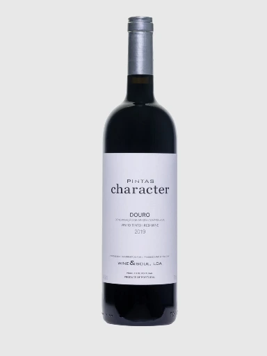 Pintas Character 21