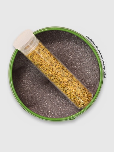 Fenchelpollen
